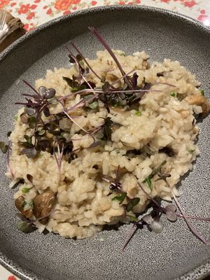 Risoto de cogumelos   at Emporio Canela in Canela