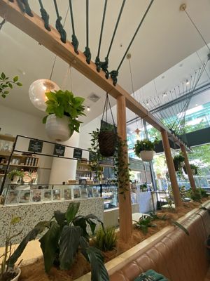 Planty vibe  at Home Vegan Bar in Docklands