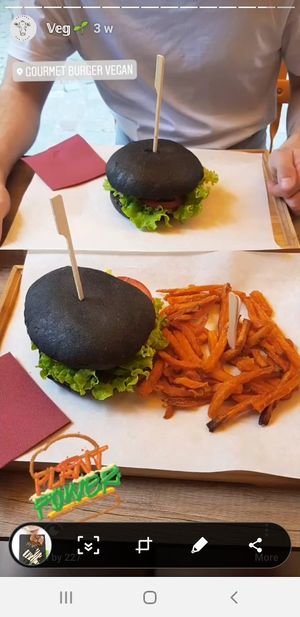 Charchol burger and chips at Gourmet Burger in Paris