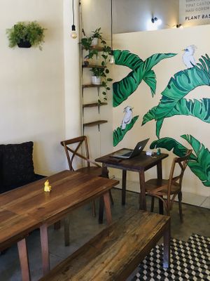 Recently opened Go Vegan Bali at Go Vegan Bali in Tibubeneng