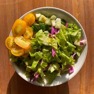 Butter lettuce, red cabbage, lettuce, cucumber, and tomato, served with our homemade vinaigrette dressing. at Go Vegan Bali in Tibubeneng
