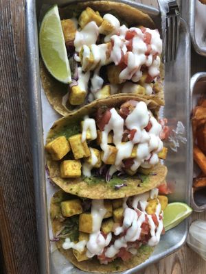Tacos with sautéed tofu  at Turf Surf & Earth in Somerville