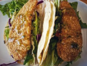 Tacos NZD19 at Social Club in Rotorua