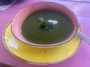 The most wonderful soup. Spinach with ginger, pesto, cream cheese   #Veganuary at Pico Feliz in Samara