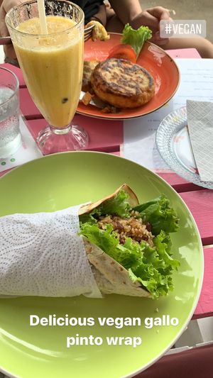 Delicious gallo pinto wrap and salty pancakes with vegan mozzarella and pesto 😋 at Pico Feliz in Samara