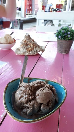 Chocolate peanut butter vegan ice cream at Pico Feliz in Samara