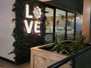 Outs at Tocaya Modern Mexican in Toluca Lake