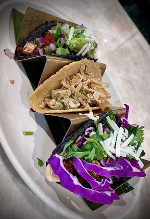 Three different vegan tacos 🌮   at Tocaya Modern Mexican in Toluca Lake
