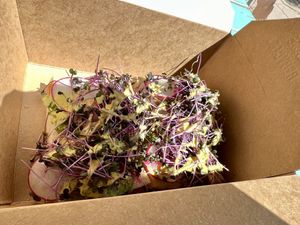   at The Wake & Take in Arroyo Seco