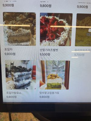   at Cafe La Moire in Jeonju