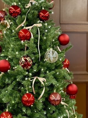 Christmas is here!   at Cafe La Moire in Jeonju