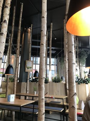 forresty  ambience (inside) at Hans im Glück  in Bremen