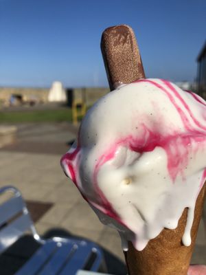 99 vegan style ! at Minchella & Co - Sea Road in South Shields