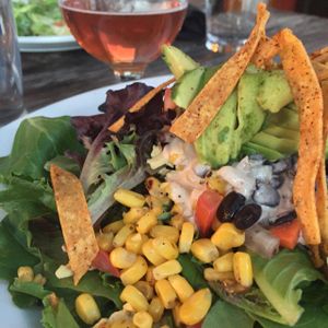 salad at Tasty Harmony in Fort Collins