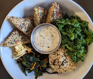 Samurai Bowl at Tasty Harmony in Fort Collins