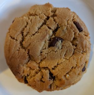 Chocolate Walnut Cookie at Tasty Harmony in Fort Collins