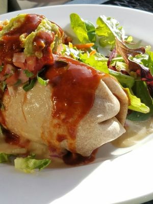 Super Burrito at Tasty Harmony in Fort Collins