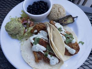 oyster mushroom tacos  at Tasty Harmony in Fort Collins