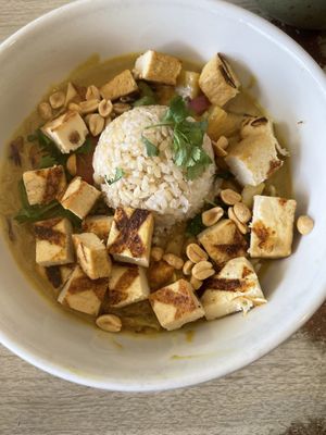 Coconut curry with tofu  at Tasty Harmony in Fort Collins
