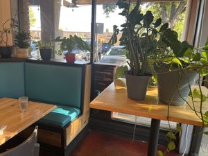 Plant corner  at Tasty Harmony in Fort Collins