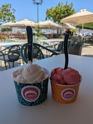Vegan banana, grapefruit, strawberry and melon icecream at I Scream  in Kefalonia