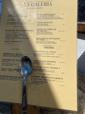 Vegan section on the menu   at Bar La Galeria in Lanzarote