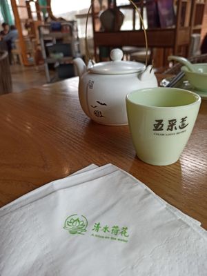 Plush at A Lotus on the Water 清水荷花 - 文殊坊店 in Chengdu