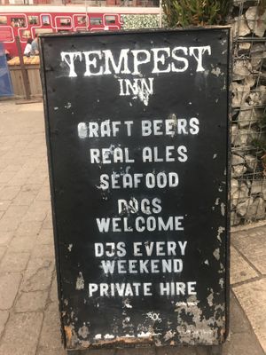 They're also dog-friendly and have regular music. at Tempest Inn in Brighton