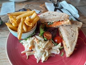  at The Donkey Sanctuary in Sidmouth