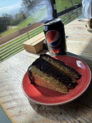   at The Donkey Sanctuary in Sidmouth