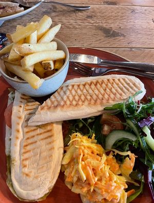 Pesto and mozzarella panini with fries and coleslaw (vegan!)  at The Donkey Sanctuary in Sidmouth