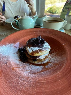   at The Donkey Sanctuary in Sidmouth