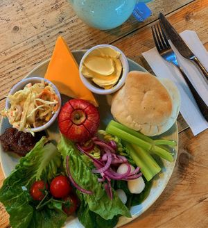   at The Donkey Sanctuary in Sidmouth