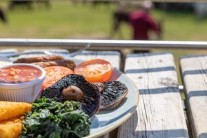  at The Donkey Sanctuary in Sidmouth