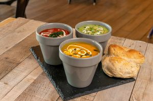  at The Donkey Sanctuary in Sidmouth