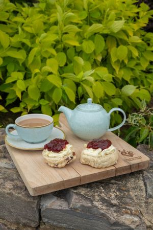  at The Donkey Sanctuary in Sidmouth