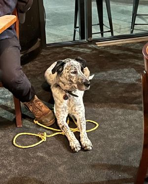 Mac  at Moon Under Water in Christchurch