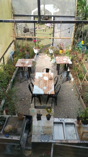  at Malanga Caribbean Fusion in Cartago