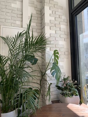   at For Four Bread 포포브레드 in Seoul