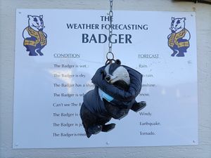  at The Purple Badger in Swansea