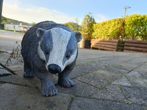  at The Purple Badger in Swansea