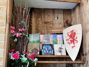 inside  at VeganE & Saint Vegan in South West London