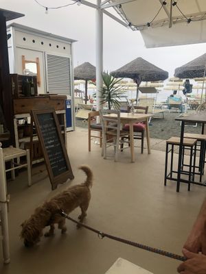 Ambience   at Holy Beach in Cogoleto