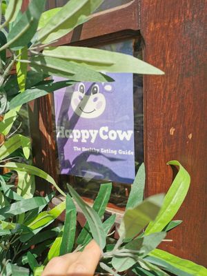Our friend HappyCow at Abigail's Cafe in Lagos