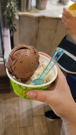 amazing vegan ice cream!!! at Rebelissimo in Jaco