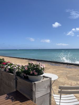   at Barefoot Beach Cafe in Honolulu