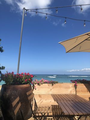 Beautiful location at Barefoot Beach Cafe in Honolulu