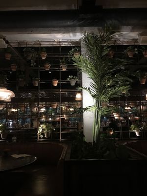   at The Botanist in Cheltenham