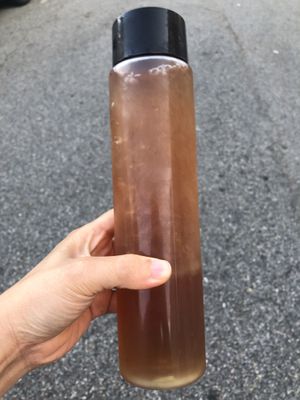 冬瓜茶 winter melon tea   at Veggie Heaven in Denville