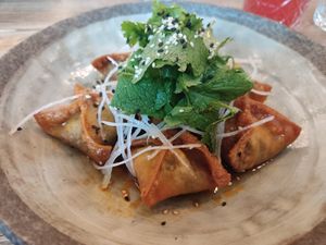 Fried leek dumplings (vegan) at Spojka Karlin in Prague